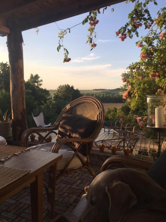 Saint-Thomas-de-Cônac Chez Brown B&B 외부 사진