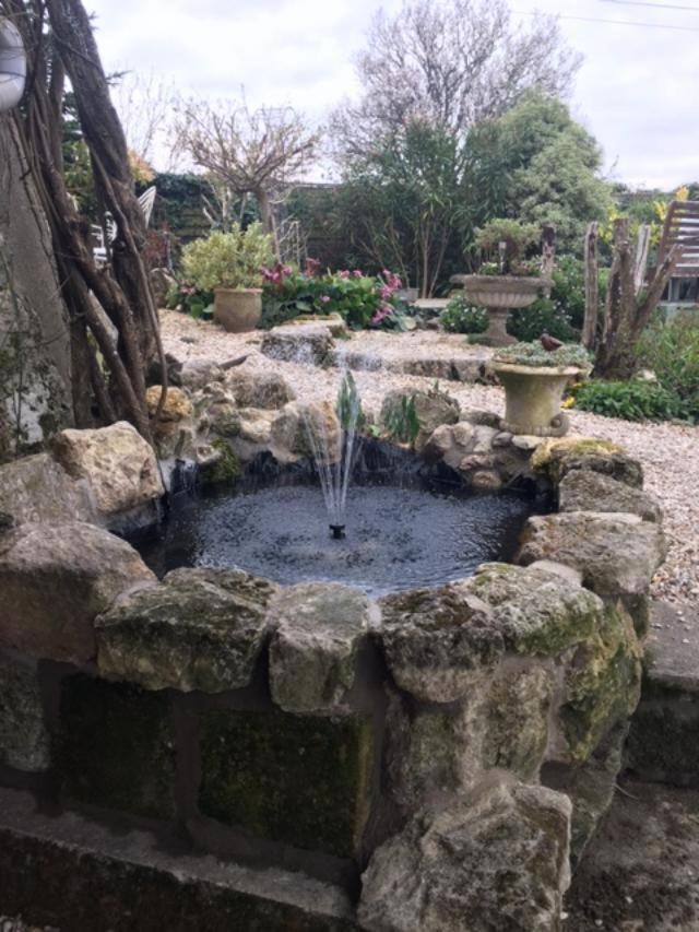Saint-Thomas-de-Cônac Chez Brown B&B 외부 사진
