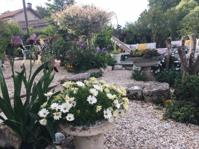 Saint-Thomas-de-Cônac Chez Brown B&B 외부 사진